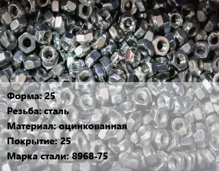 Контргайка 25 сталь оцинкованная 25 Сталь: 8968-75